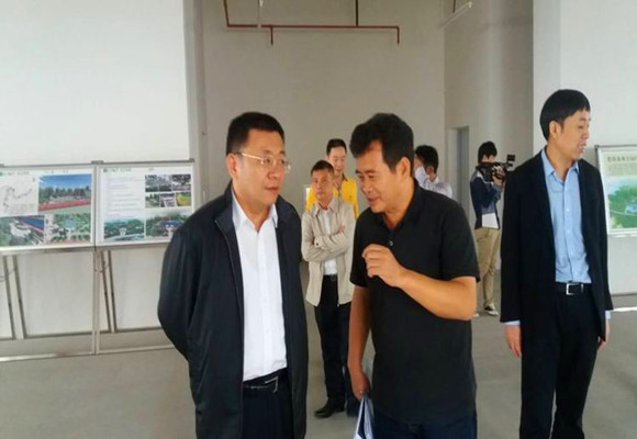 市委书记张耕（左一）视察儋阳楼建设_副本.jpg
