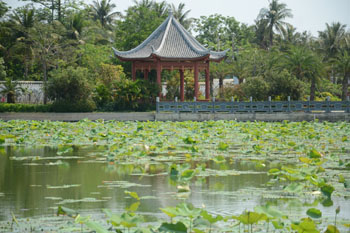景区风光03.JPG